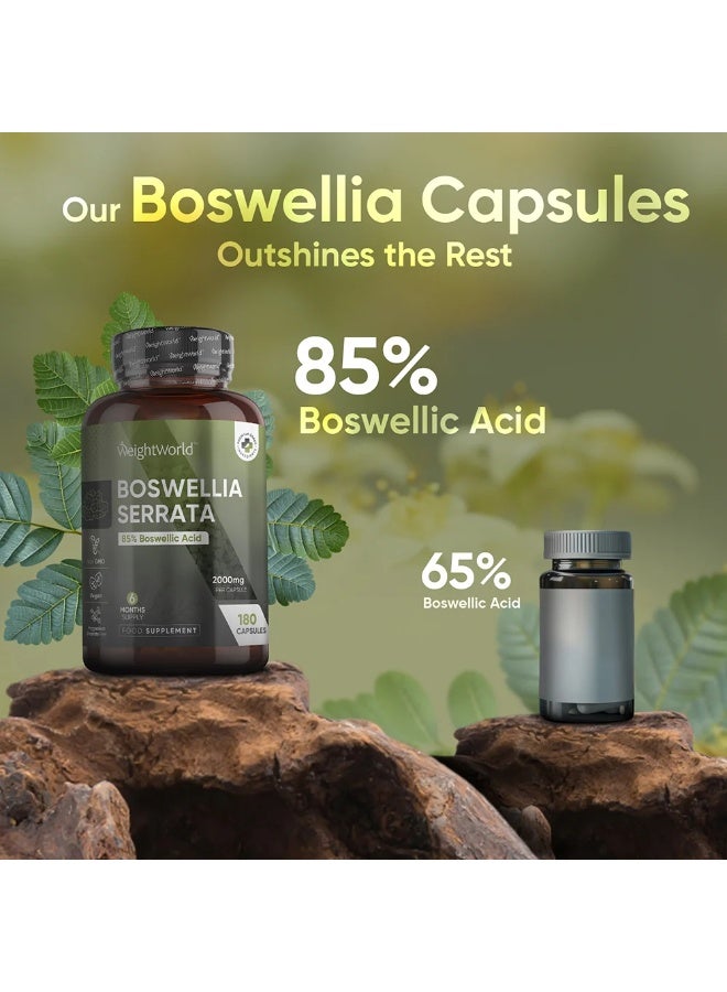 بوسويليا سيراتا – 2000 مجم – 180 كبسولة – صنع في المملكة المتحدة – يدعم صحة المفاصل وتقليل الالتهابات - Image 3